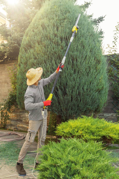 Best Sod Installation  in Fair Haven, NJ